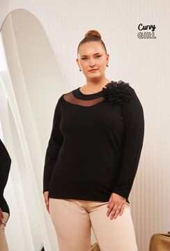 Picture of CURVY GIRL ELEGANT TOP WITH LACE